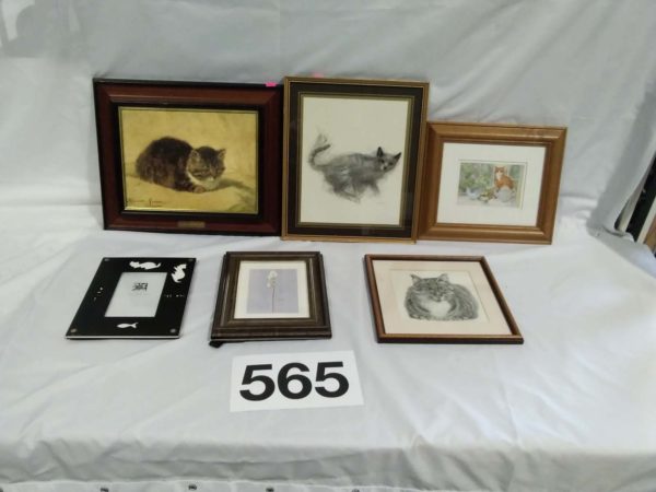 lot 565 assortment of cat pictures inc signed ones