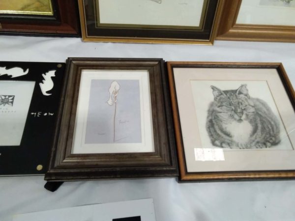 lot 565 assortment of cat pictures inc signed ones - Image 4