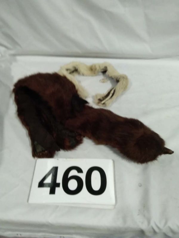 lot 460 fur stoll & collar