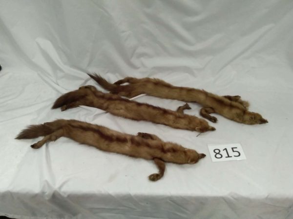 lot 815 3  vintage fur stoles