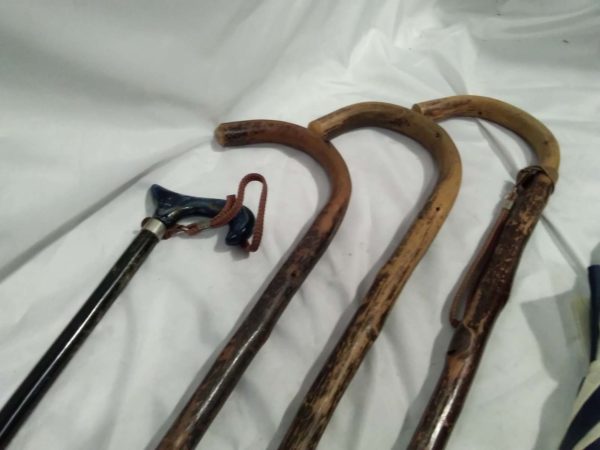 lot 817  walking sticks & umbrella - Image 2