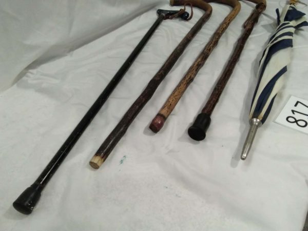 lot 817  walking sticks & umbrella - Image 3