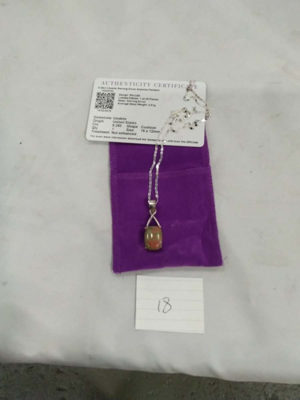 lot 018 9.38ct Unakite sterling silver Aryanna pendant & COA - Image 2