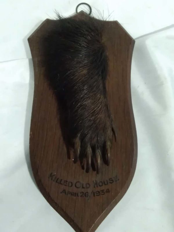 lot 064 mounted badger foot dated 1934