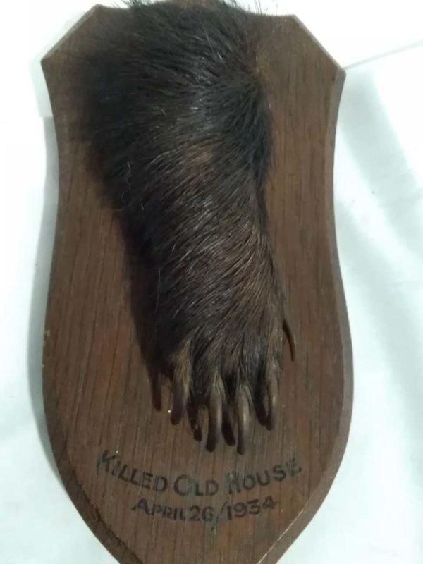 lot 064 mounted badger foot dated 1934 - Image 3