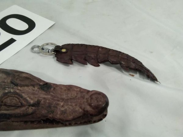 lot 420 3 real crocodile body parts made in to keyrings - Image 4