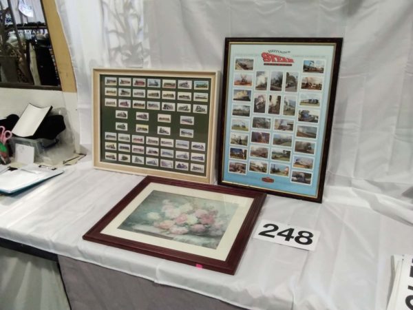 lot 248 framed floral picture & 2 framed collectors card sets