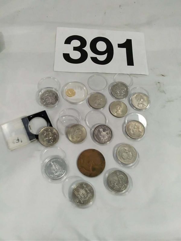 lot 391 commemorative coins British & foreign