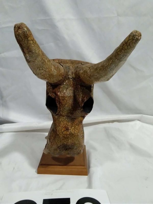 lot 273 Cornish ” kuriology” Skull on Stand - Image 2