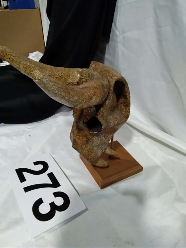 lot 273 Cornish ” kuriology” Skull on Stand - Image 3