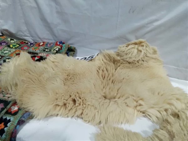 lot 495 sheep skin rugs x2 & crochet blanket - Image 6