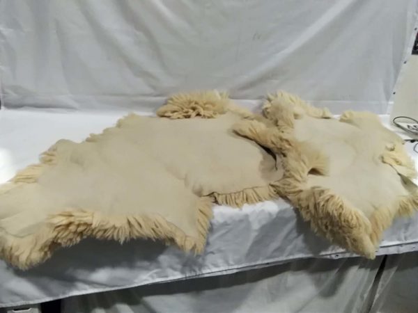 lot 495 sheep skin rugs x2 & crochet blanket - Image 3