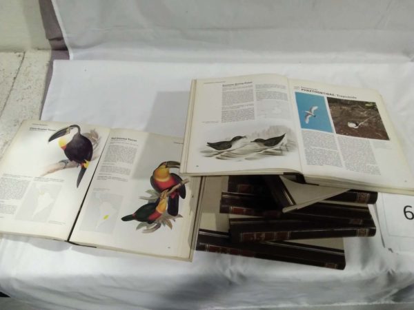 lot 693 vintage books numbers 1-7 Encyclopedia of birds - Image 4