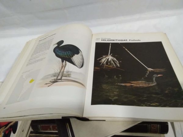 lot 693 vintage books numbers 1-7 Encyclopedia of birds - Image 3