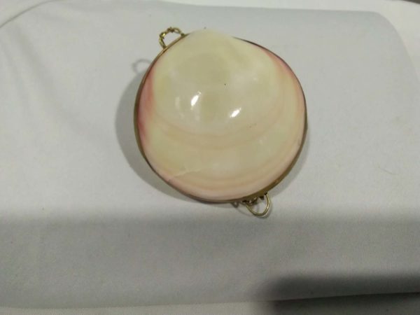 lot 715 shell coin purse