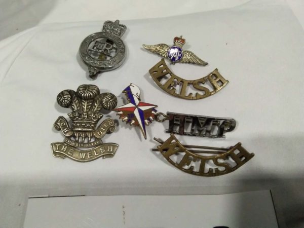 lot 854 collection of military & Prison badges