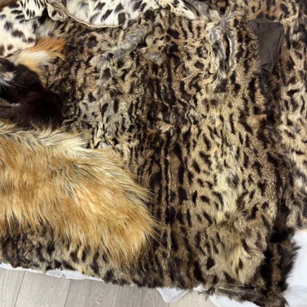 Lot 1085 – Variety Of Fur Skins Including Taxidermy Animal (Fforestfach collection) - Image 6