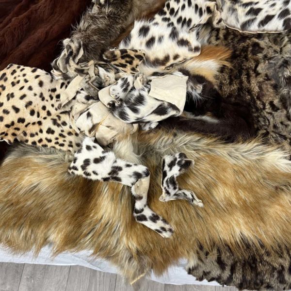 Lot 1085 – Variety Of Fur Skins Including Taxidermy Animal (Fforestfach collection) - Image 5