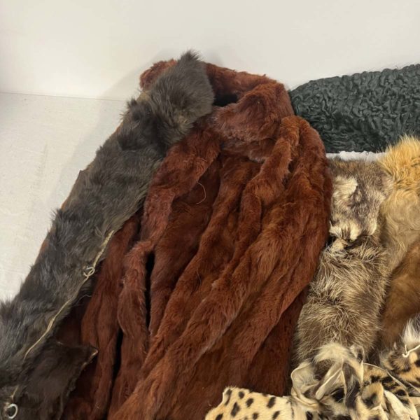 Lot 1085 – Variety Of Fur Skins Including Taxidermy Animal (Fforestfach collection) - Image 3