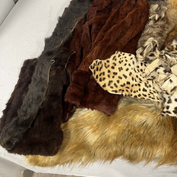 Lot 1085 – Variety Of Fur Skins Including Taxidermy Animal (Fforestfach collection) - Image 2