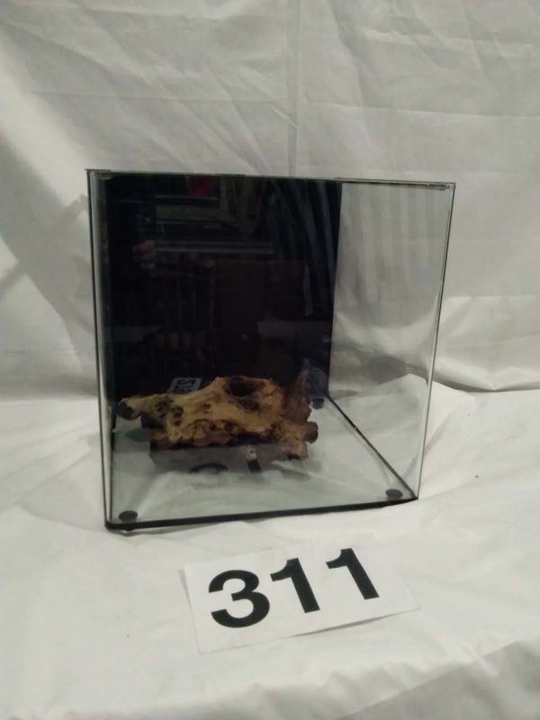 lot 311 glass aquarium 16″ x 16″x 16″ - Image 2