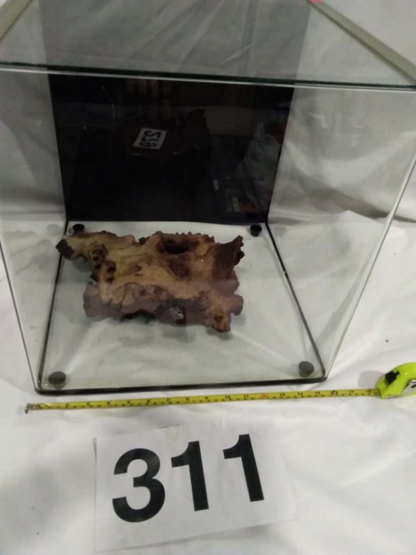 lot 311 glass aquarium 16″ x 16″x 16″ - Image 4