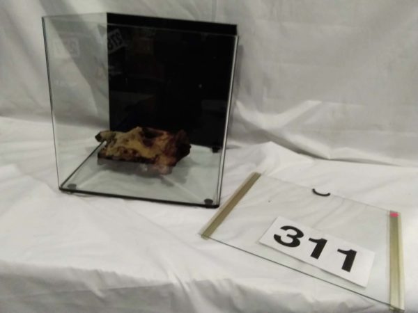 lot 311 glass aquarium 16″ x 16″x 16″ - Image 3