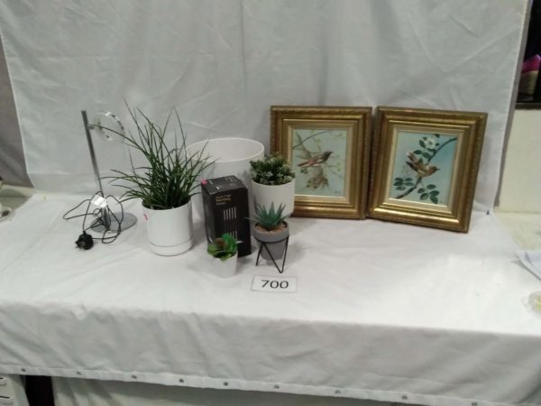 lot 700 framed pictures, faux plants, ring light, wall fitting light