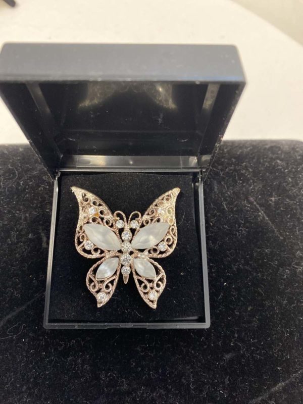 DD2084-BUTTERFLY BROOCH WITH BOX